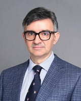 Dusan Perisic image