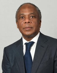 Okechukwu P Anene image